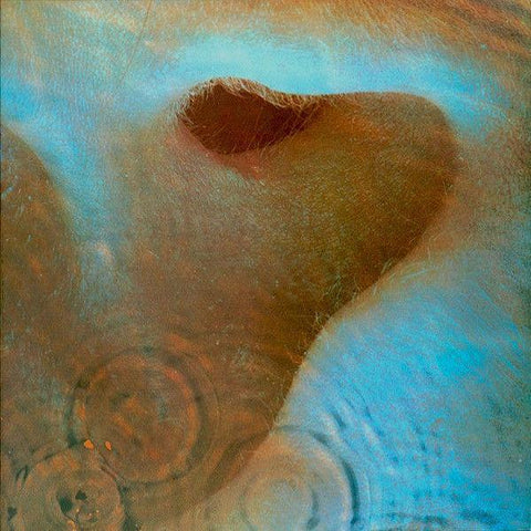 Pink Floyd | Meddle | Album-Vinyl