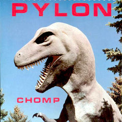 Pylon | Chomp | Album