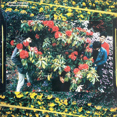 Sneaky Feelings | Sentimental Education | Album