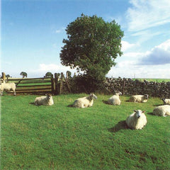 KLF | チルアウト | アルバム