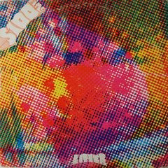 The Litter | $100 Fine | Album