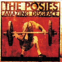 The Posies | Amazing Disgrace | Album