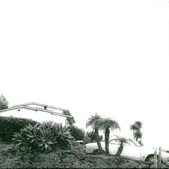 Timber Timbre | Hot Dreams | Album