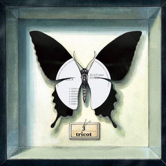 Tricot | 3 | Album