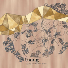 Tunng | Comments of the Inner Chorus | Album