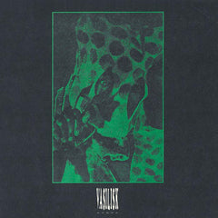 Vasilisk | Acqua | Album