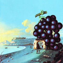 Moby Grape | Wow | Album