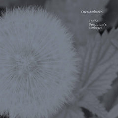 Oren Ambarchi | In the Pendulum's Embrace | Album